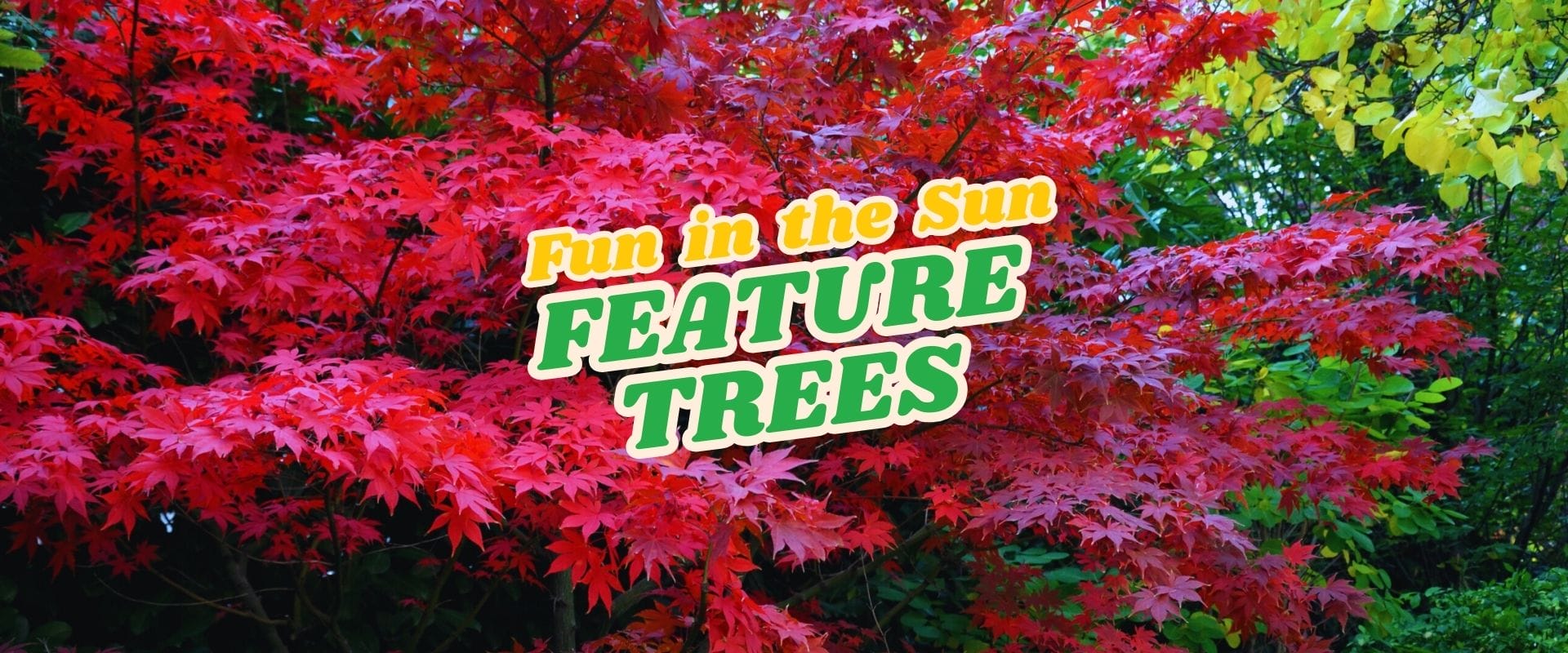 Red and green leafy trees with a bold text overlay reading "FUN IN THE SUN Flash Sale FEATURE TREES" in vibrant yellow, white, and green typefaces.