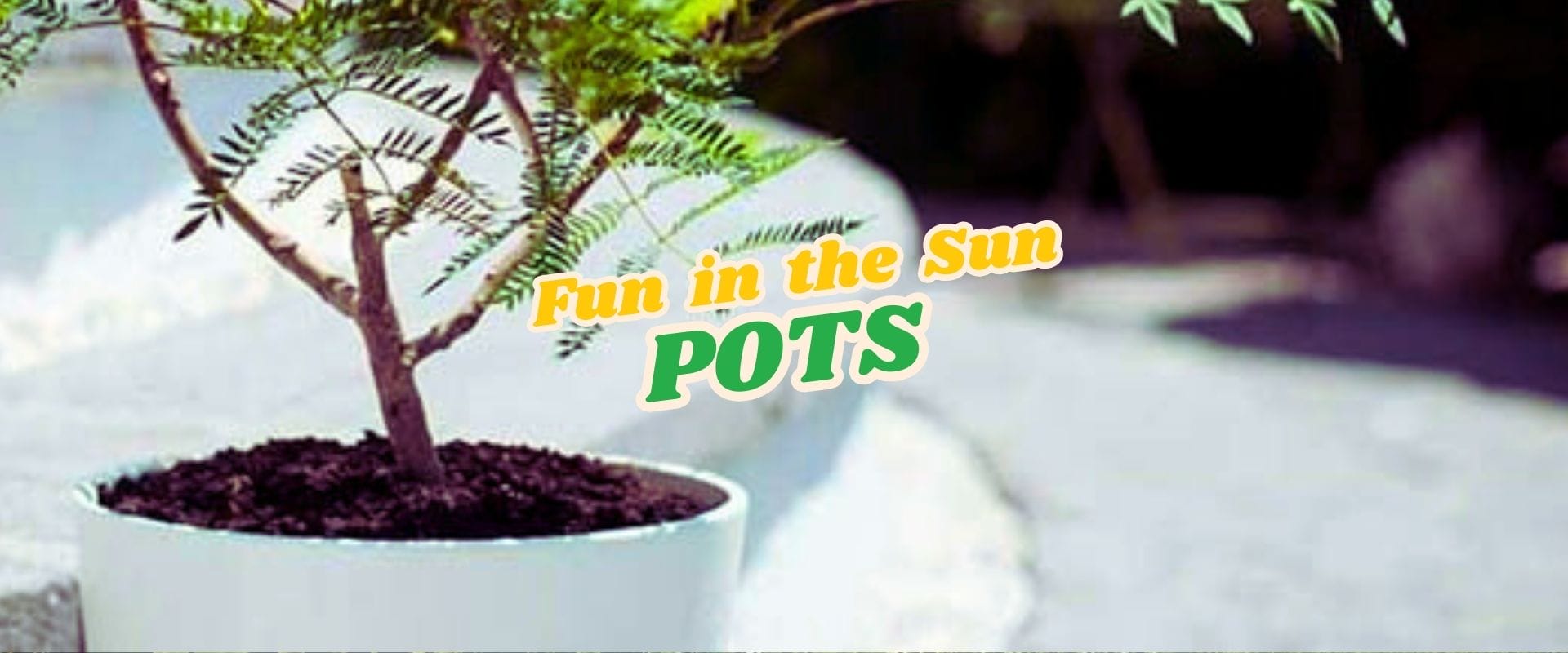 A potted plant sits on a sunny outdoor surface with the words "Fun in the Sun POTS" overlaid in yellow and green text, highlighting a limited-time Flash Sale.