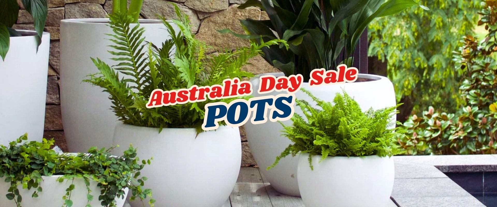 White plant pots with green plants outside, featuring the text "Australia Day Plant Sale POTS" overlaid in the centre.