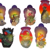 Six assorted 'Tillandsias Air Plant' Fridge Magnets feature animal designs such as cats, frogs, tortoises, fish, and ladybirds. Each is labelled "Cool Critters" or "Funky Friends" and holds a small air plant; some also serve as quirky fridge magnets.
