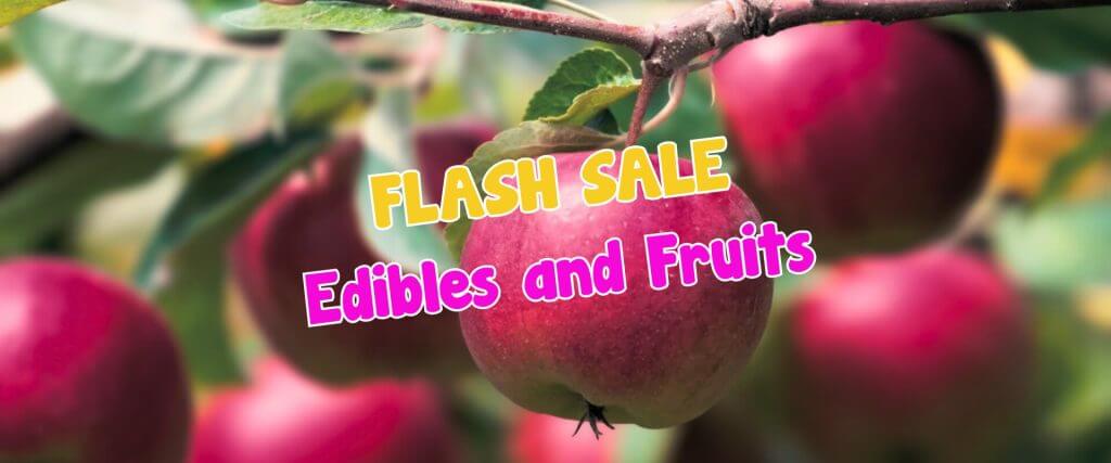 Red apples on a tree branch with vibrant text overlay reading "Bougainvilleas Flash Sale Edibles and Fruits".