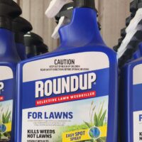A blue bottle of Roundup Selective Lawn Weedkiller for lawns, labelled as killing weeds but not lawns, with "Easy Spot Spray" and safety caution visible on the packaging.