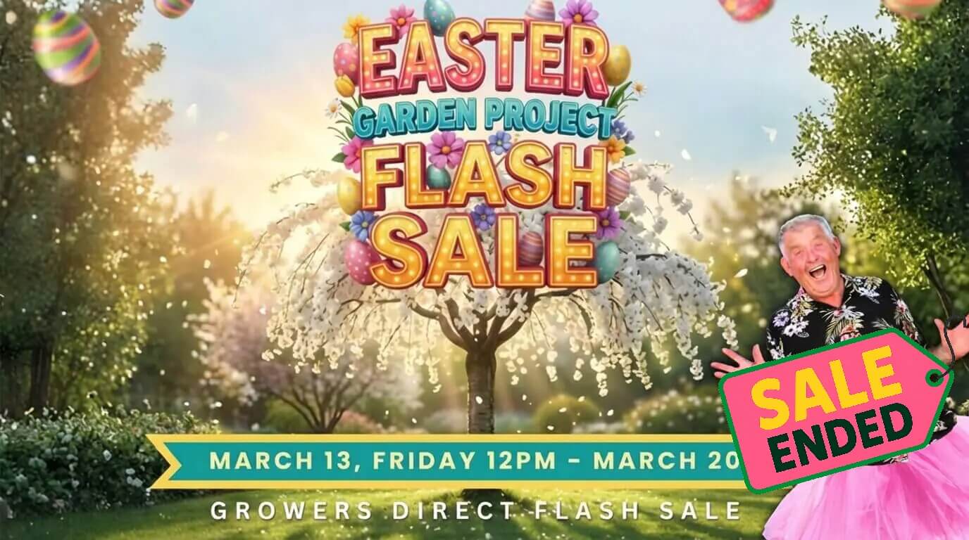 Colourful Easter Garden Project Flash Sale sign with eggs and balloons above a blossoming tree; Easter Garden banner displays sale dates and a "Sale Ended" label, plus a smiling person in the corner.