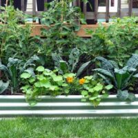 Fruits, Vegetables & Herbs