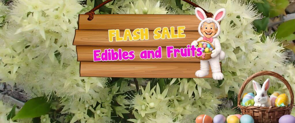 A wooden sign reads "Flash Sale Edibles and Fruit" with an Easter bunny character, a basket of eggs, white flowers, and hints of a plant auction sale in the background.