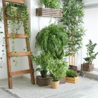 Indoor