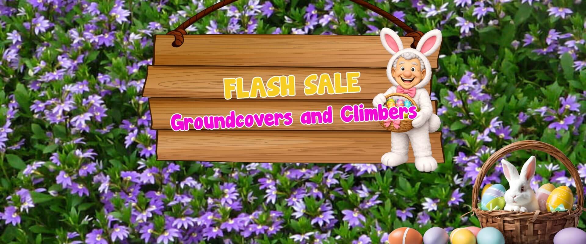 Wooden sign reads “Flash Sale Groundcovers and Climbers” over a background of purple flowers, evoking a festive plant auction sale vibe with an Easter bunny and basket of eggs beside it.