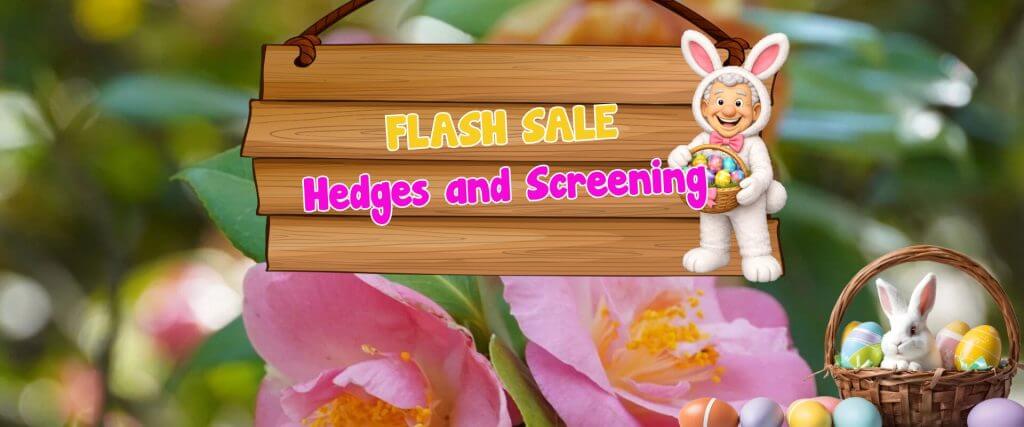 Wooden sign with "Flash Sale Hedges and Screening" text, cartoon person in bunny costume, flowers in the background, and a basket with Easter eggs and a rabbit—perfect for your next plant auction sale.