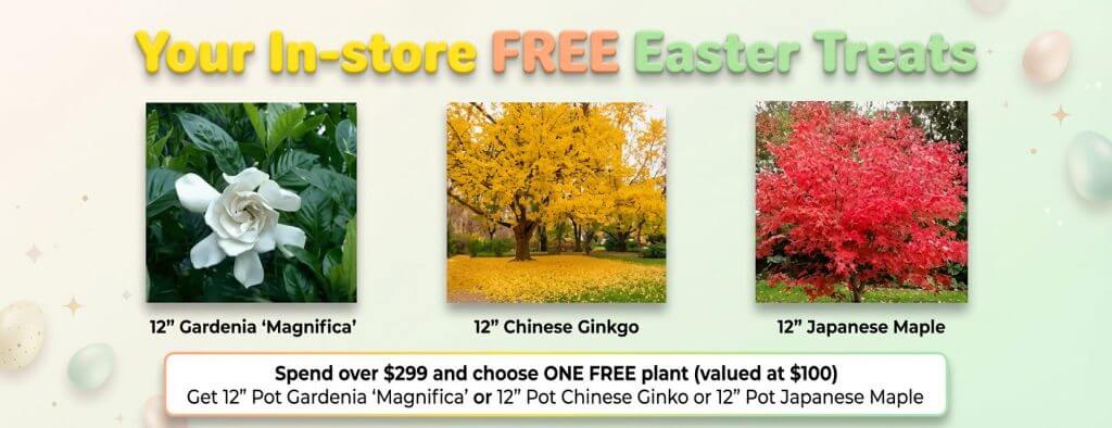 Banner displaying "Your In-store FREE Easter Treats" with images and names of Gardenia 'Magnifica', Chinese Ginkgo, and Japanese Maple; plus Time To Plant offer details below.
