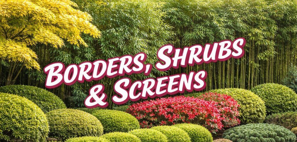 Manicured shrubs and flowering bushes are arranged in front of tall bamboo and yellow-leaved trees, creating a Japanese Garden Exclusive look, with the text "Borders, Shrubs & Screens" overlaid in bold letters.