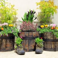 Pot & Containers